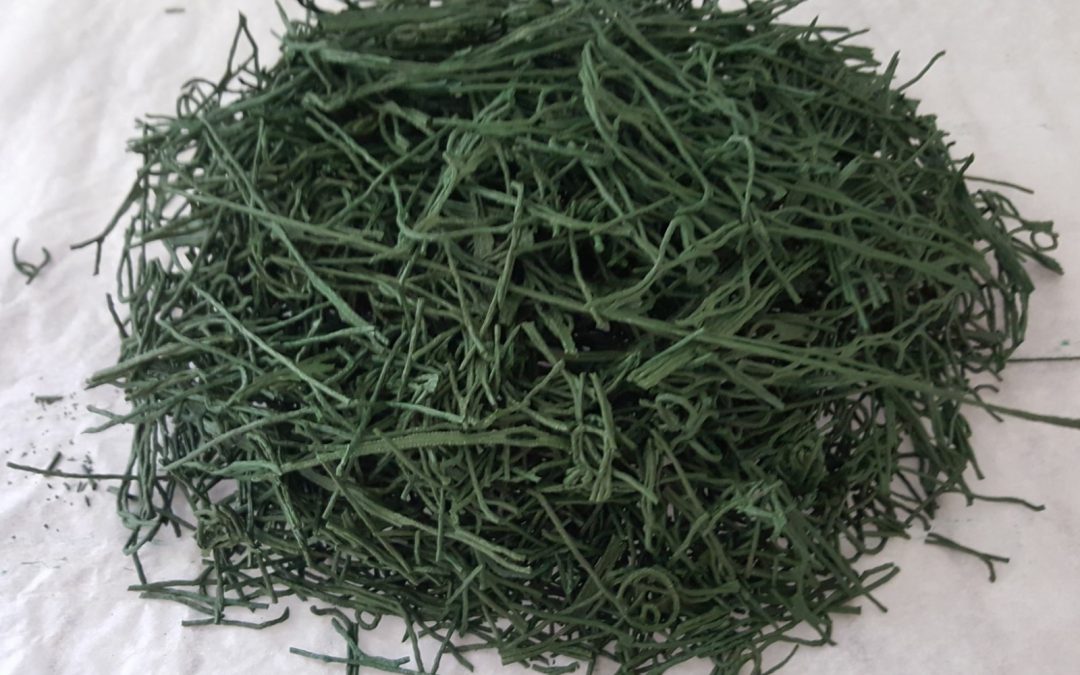 Ners | la spiruline ou la vie en bleu-vert