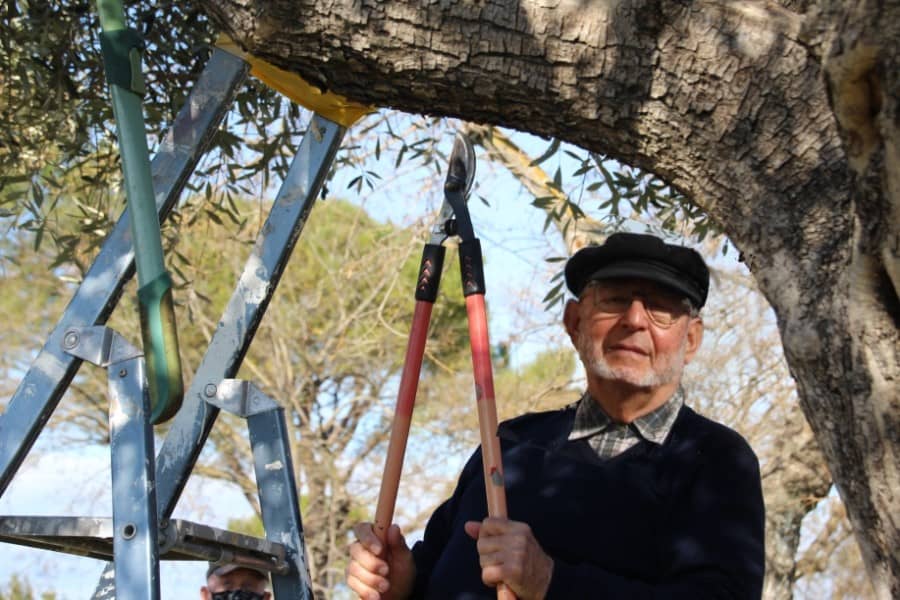 La Calmette | Trucs et astuces d&rsquo;un passionné de l&rsquo;olivier