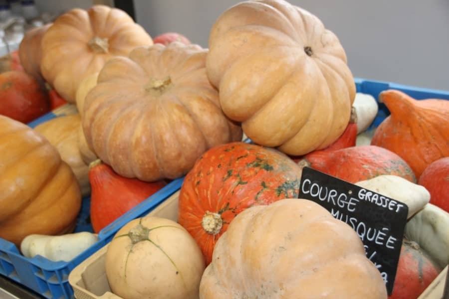 LA CALMETTE | Le mas Bel-Air 100% bio