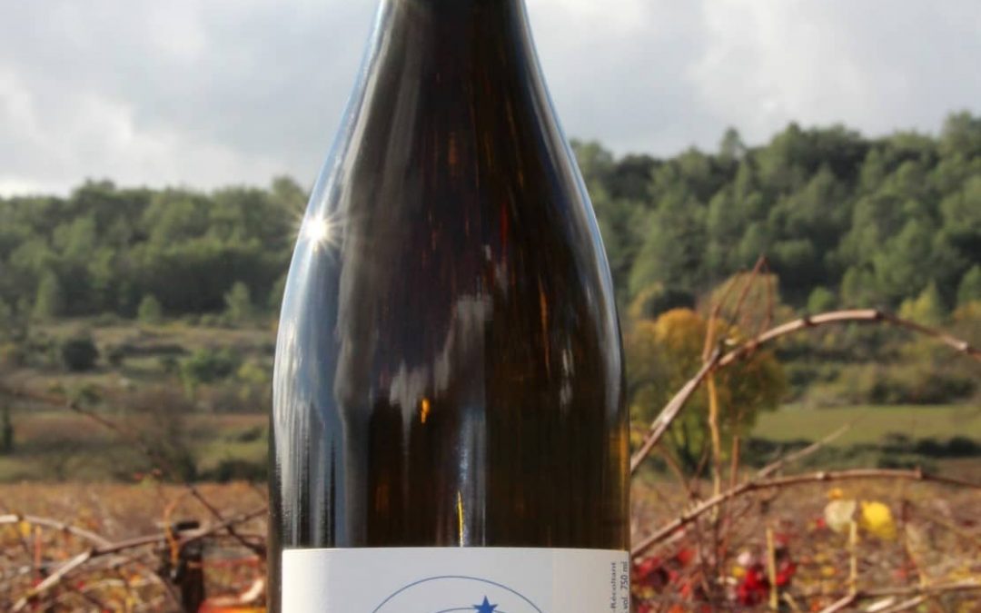 saint-mamert du gard | Première Cuvée Creta Amphora au Mas d&rsquo;Espanet