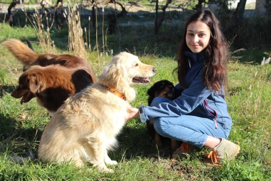 Saint-Geniès de Malgoirès | Cécile chef de meute