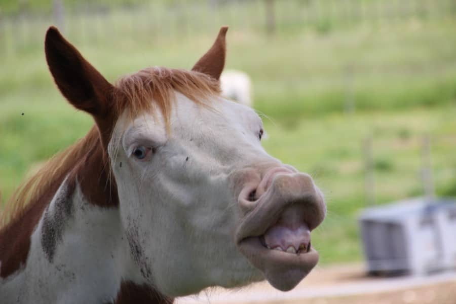 Saint-Mamert du Gard | Retrouvailles au Mas des Montagnons