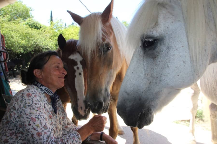 Saint-Mamert du Gard | Des chevaux pour aider des hommes