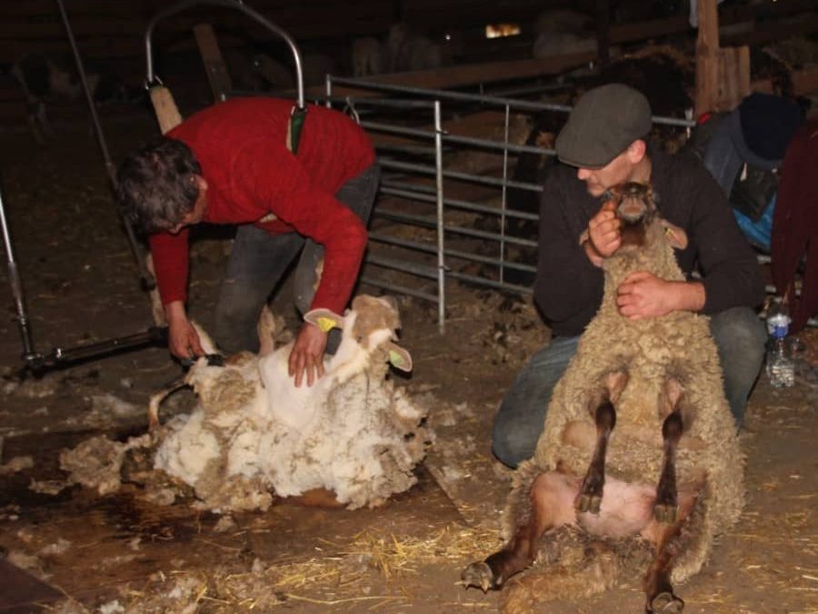 Montignargues | Coiffeurs à domicile pour dames bêlantes