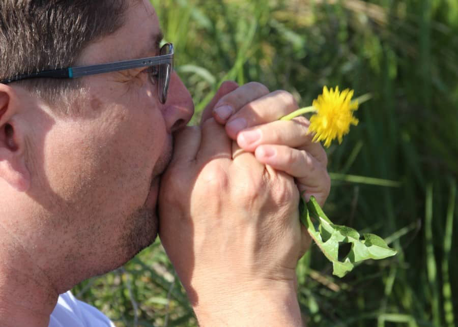 Fons Outre-Gardon | Apprendre à reconnaître les salades sauvages
