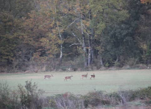 Leins Gardonnenque | Profiter de la liberté quand d&rsquo;autres sont confinés