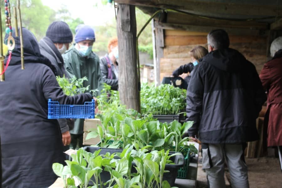 SAINT-GENIès de Malgoires | Marché aux plants à l&rsquo;Ortalet