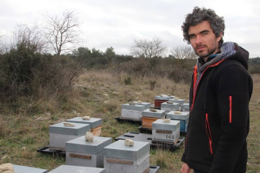 Parignargues | Un loup apiculteur